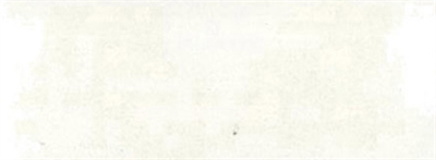 Rembrandt Softpastel White 100.5
