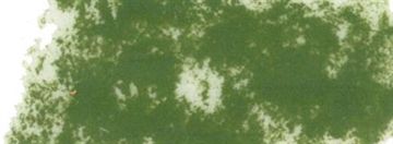 Rembrandt Softpastel Olive Green 620.5